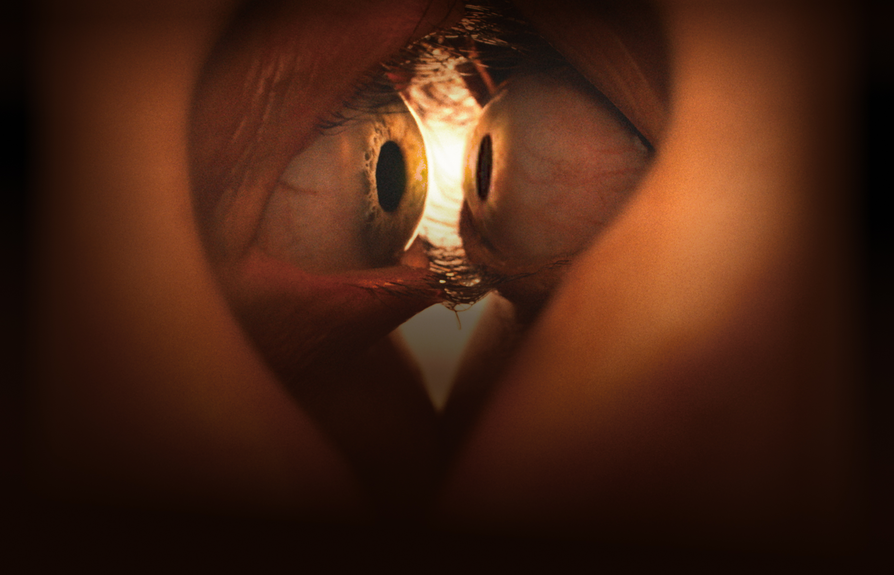 向き合った2人の目が引力に引かれ合うように今にもくっつきそうになっている